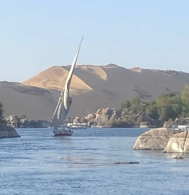 Felucca sailing below the dunes of the west bank